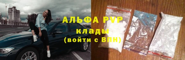 сатива Баксан