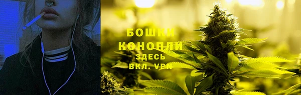 сатива Баксан