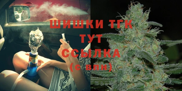 сатива Баксан