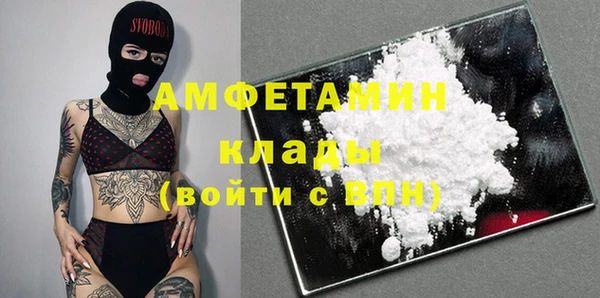 сатива Баксан